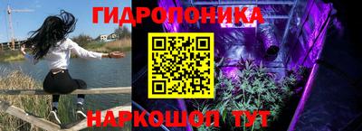 эйфоретик Лесосибирск