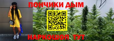 индика Ливны