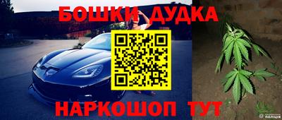 индика Ливны