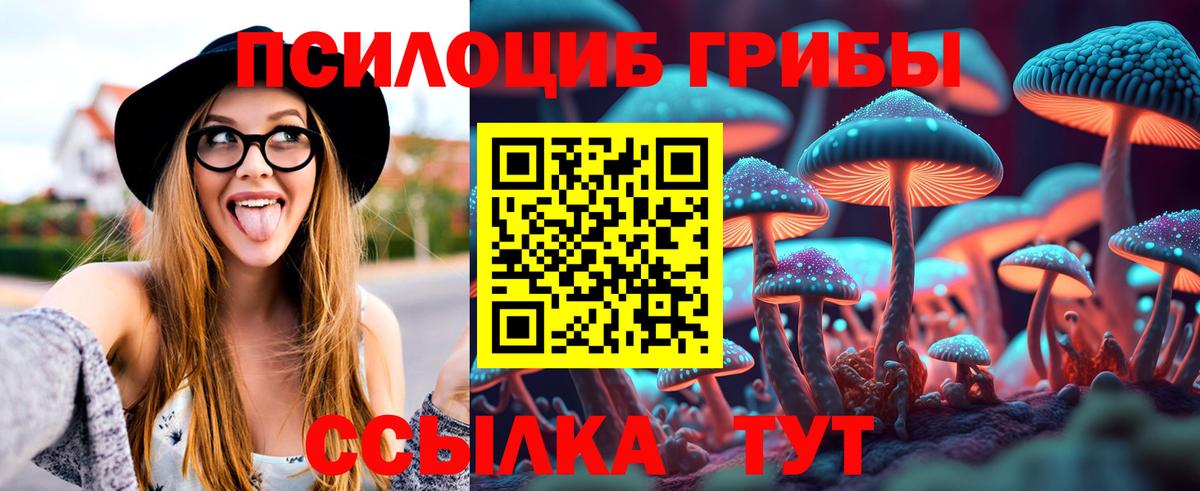 Галлюциногенные грибы GOLDEN TEACHER Электросталь