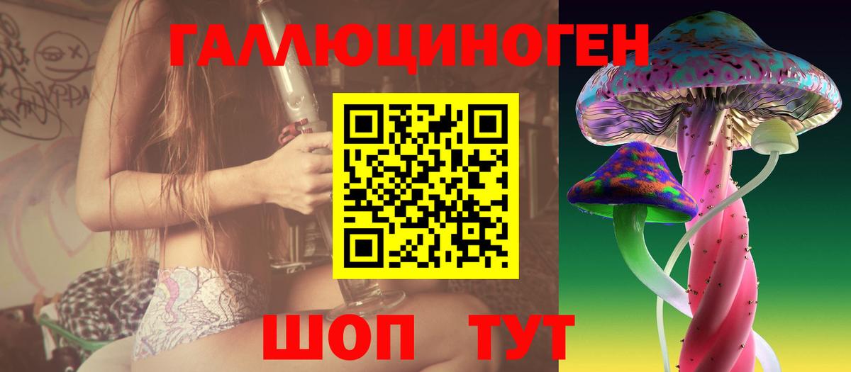 Электросталь  Псилоцибиновые грибы Psilocybine cubensis  купить наркотики цена  Галлюциногенные грибы прущие грибы  Вход с VPN 